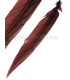 PLUME DE FAISAN ARGENTÉ 30 - 35 CMS.