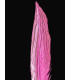 PLUME DE FAISAN ARGENTÉ 30 - 35 CMS.