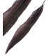 PLUME DE FAISAN ARGENTÉ 30 - 35 CMS.