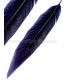 PLUME DE FAISAN ARGENTÉ 30 - 35 CMS.
