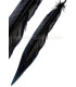 PLUME DE FAISAN ARGENTÉ 30 - 35 CMS.