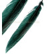 PLUME DE FAISAN ARGENTÉ 30 - 35 CMS.