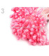 TIGE PISTIL FLORALES