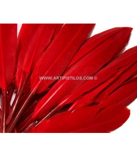 SAC 20 PLUMES DE CANARD 9-14 CMS.