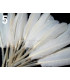 SAC 20 PLUMES DE CANARD 9-14 CMS.