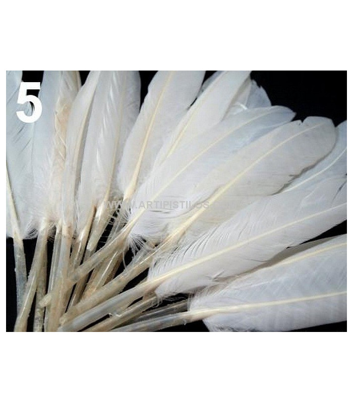 SAC 20 PLUMES DE CANARD 9-14 CMS.