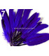 SAC 20 PLUMES DE CANARD 9-14 CMS.