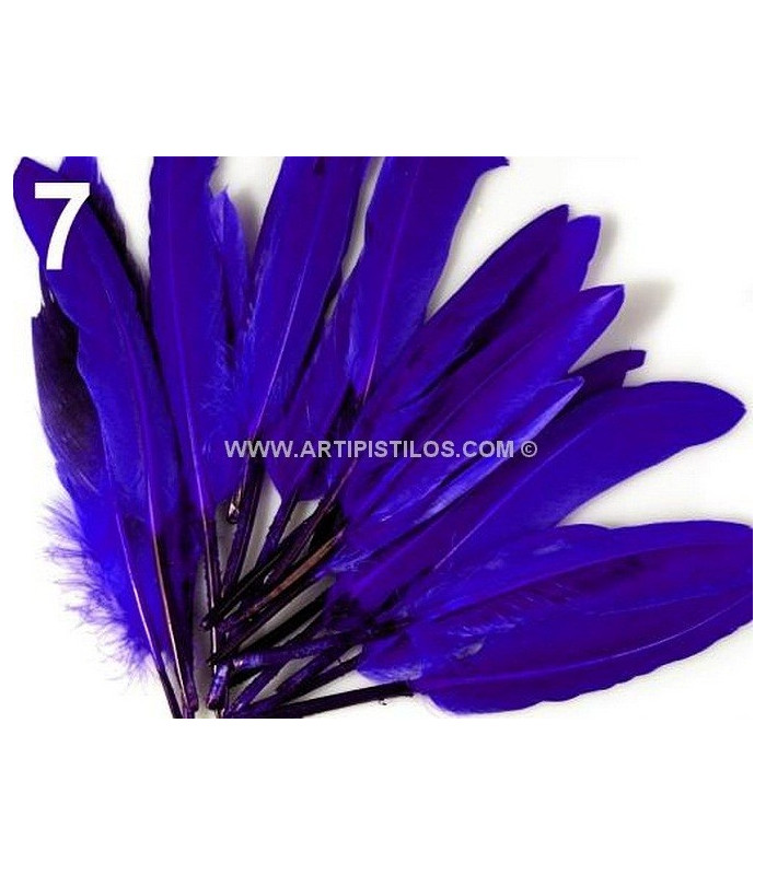SAC 20 PLUMES DE CANARD 9-14 CMS.