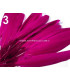 SAC 20 PLUMES DE CANARD 9-14 CMS.