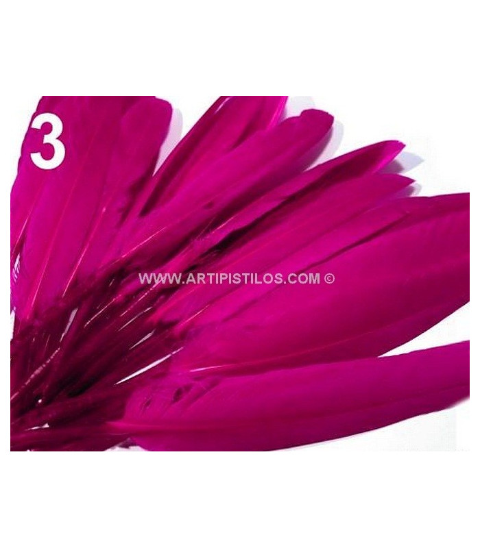 SAC 20 PLUMES DE CANARD 9-14 CMS.