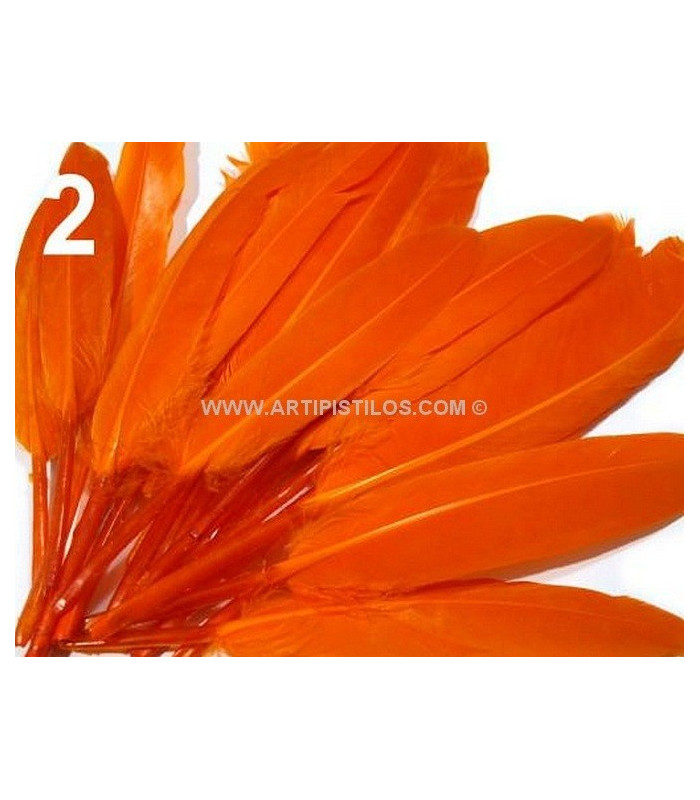 SAC 20 PLUMES DE CANARD 9-14 CMS.