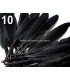 SAC 20 PLUMES DE CANARD 9-14 CMS.
