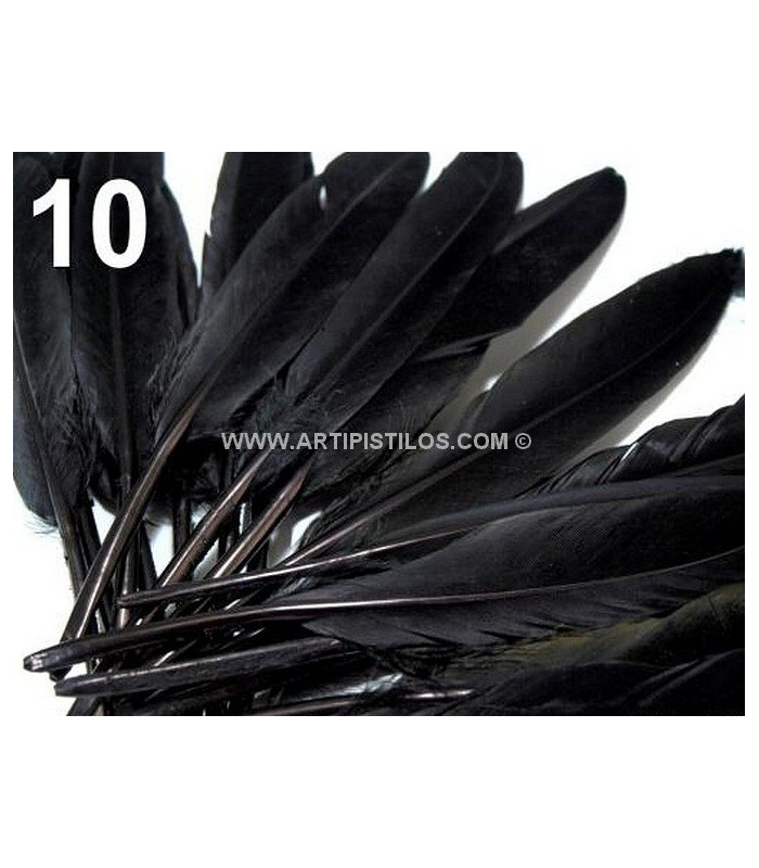 SAC 20 PLUMES DE CANARD 9-14 CMS.