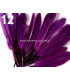SAC 20 PLUMES DE CANARD 9-14 CMS.