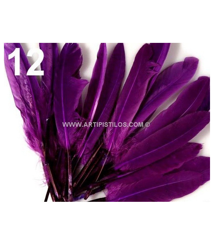 SAC 20 PLUMES DE CANARD 9-14 CMS.