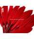 SAC 20 PLUMES DE CANARD 9-14 CMS.