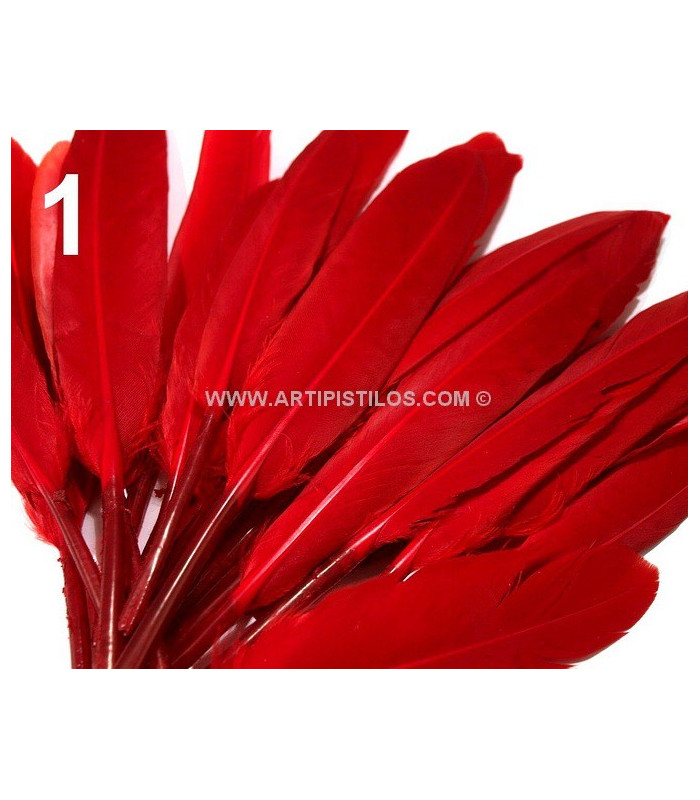 SAC 20 PLUMES DE CANARD 9-14 CMS.