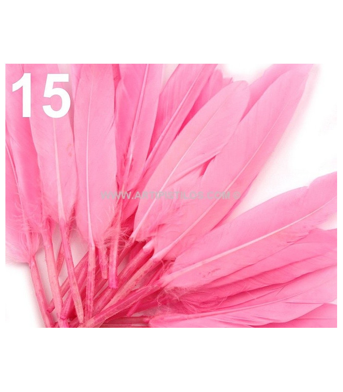 SAC 20 PLUMES DE CANARD 9-14 CMS.