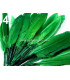 SAC 20 PLUMES DE CANARD 9-14 CMS.