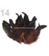 SAC PLUMES DE COQ 10-17 CMS.