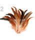 SAC PLUMES DE COQ 10-17 CMS.