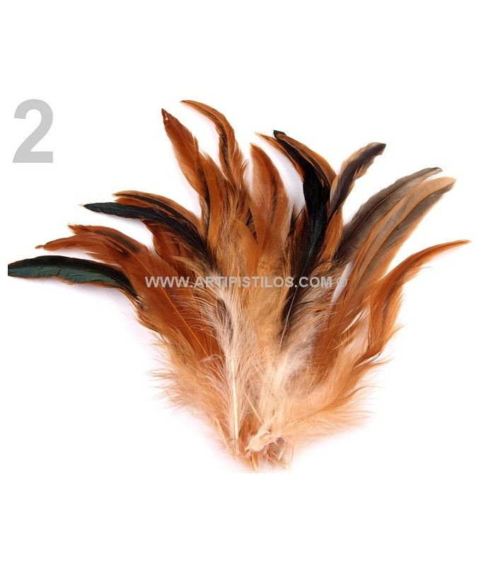 SAC PLUMES DE COQ 10-17 CMS.