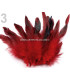 SAC PLUMES DE COQ 10-17 CMS.