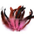 SAC PLUMES DE COQ 10-17 CMS.