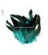 SAC PLUMES DE COQ 10-17 CMS.