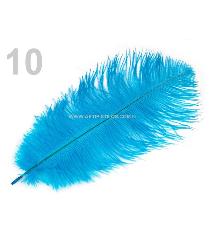 Plume d'autruche d'une longueur approximative de 20-25 cm