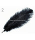 Plume d'autruche d'une longueur approximative de 20-25 cm