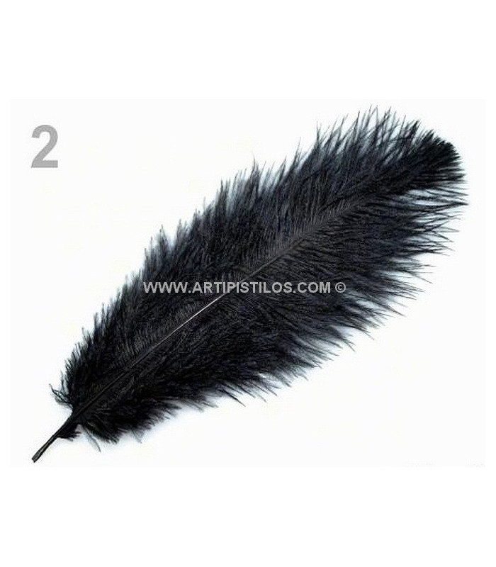 Plume d'autruche d'une longueur approximative de 20-25 cm