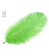 Plume d'autruche d'une longueur approximative de 20-25 cm