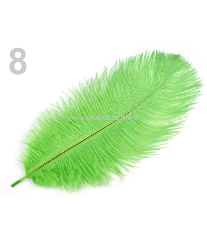 Plume d'autruche d'une longueur approximative de 20-25 cm