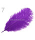 Plume d'autruche d'une longueur approximative de 20-25 cm