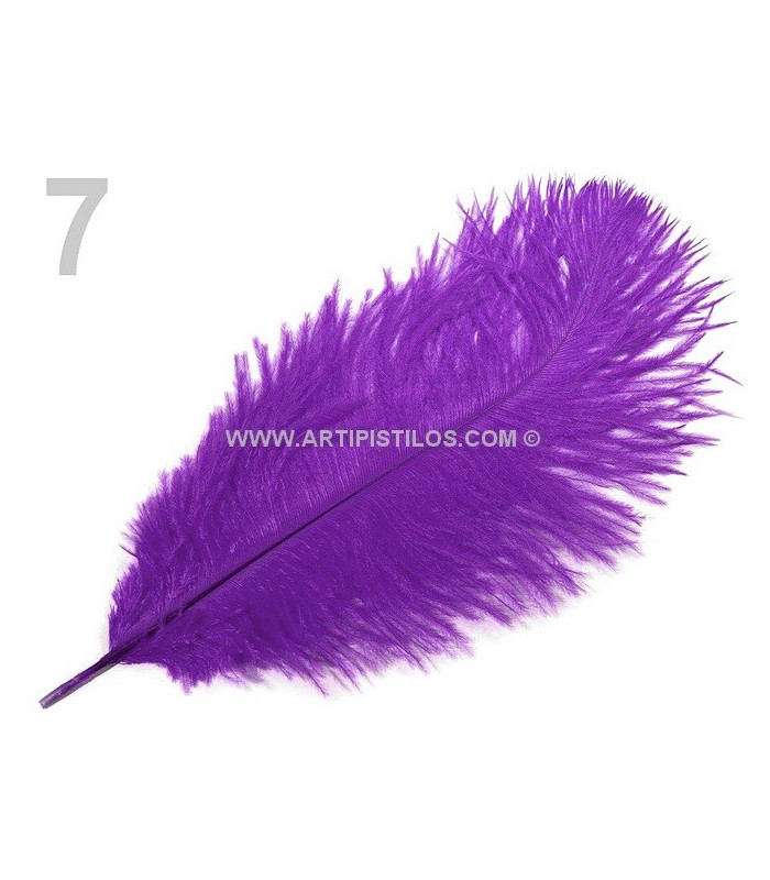 Plume d'autruche d'une longueur approximative de 20-25 cm