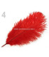 Plume d'autruche d'une longueur approximative de 20-25 cm