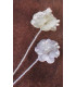 FLEUR SATIN