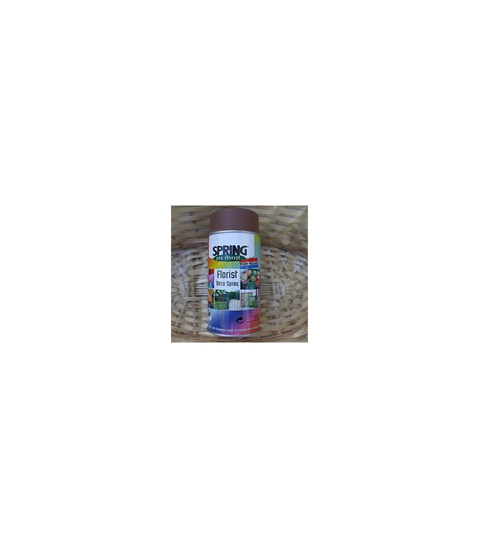 PEINTURE EN AÉROSOL 400 ML.