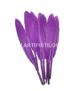 SAC 15 PLUMES DE CANARD