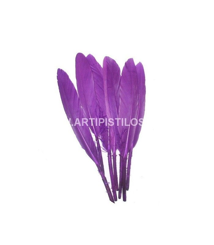 SAC 15 PLUMES DE CANARD