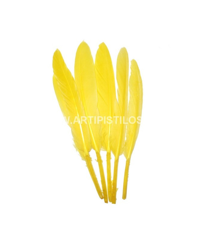 SAC 15 PLUMES DE CANARD