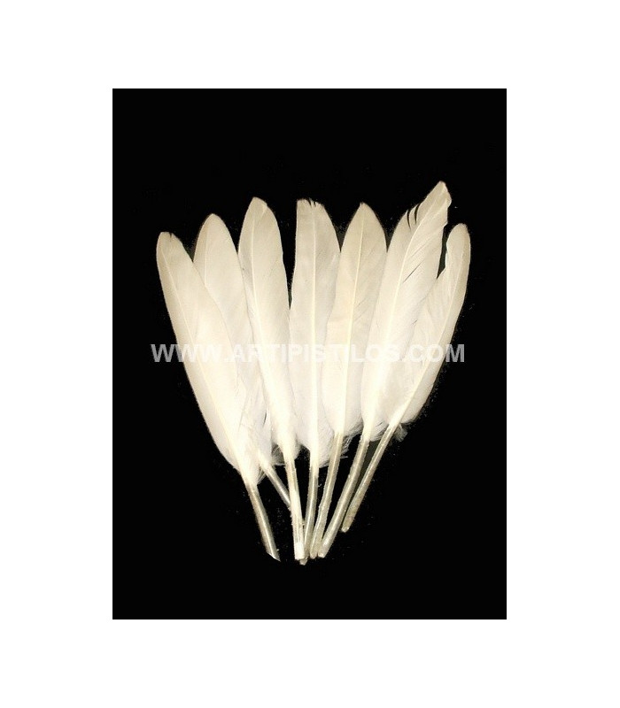 SAC 15 PLUMES DE CANARD