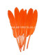 SAC 15 PLUMES DE CANARD
