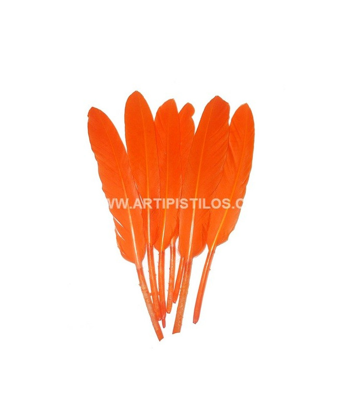 SAC 15 PLUMES DE CANARD