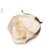 ROSE AROMATE 4,5 X 6,5 CMS.