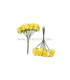 BOUQUET 12 FLEURS EN PAPIER