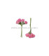 BOUQUET 6 FLEURS EN SINAMAY