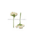 BOUQUET 6 FLEURS EN SINAMAY
