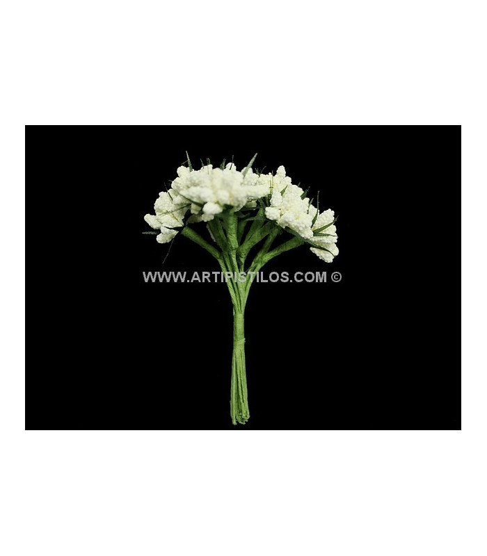 BOUQUET 12 FLEURS